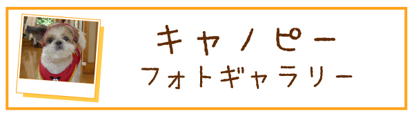 おでかけキャノピー写真集ページへのリンク画像