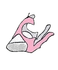 装着方法の説明